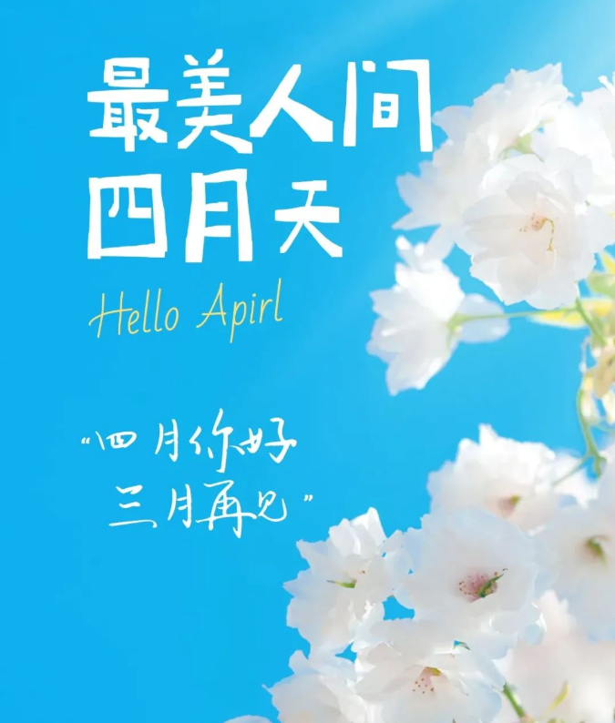 1648858256881181.png image.png